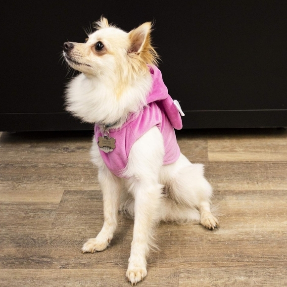 PEEPS | Easter bunny costume for animals - Picture 3 of 13